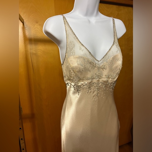 Beautiful Dave and Johnny gown - Picture 9 of 12